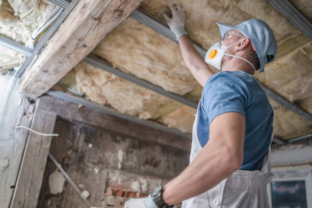 Professional Insulation Contractor in UT